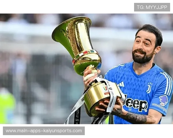 法甲转会窗口球队引援目标偏重实用性，法甲夏季转会窗时间