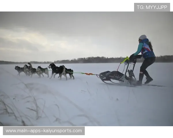 雪橇锦标：俄罗斯队稳居金牌榜，挑战纪录！，俄罗斯雪橇部队